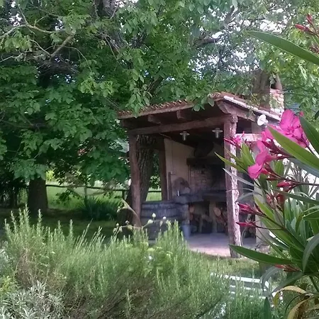 Elena Villa *